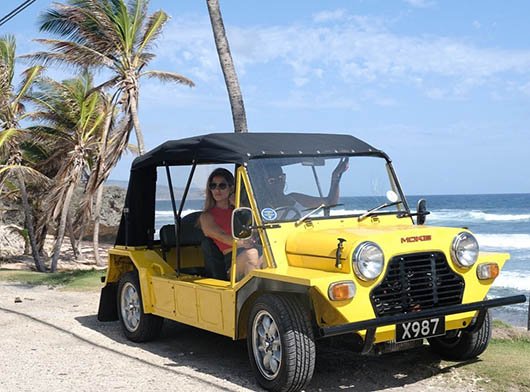 Tourist in a yellow rented Mini Moke parked by the palm trees at Bathsheba Beach, Barbados