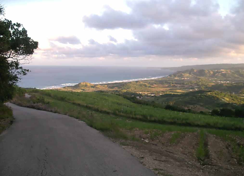 Panoramic view from Cherry Tree Hill overlooking the lush landscape and coastline of St. Peter, Barbados