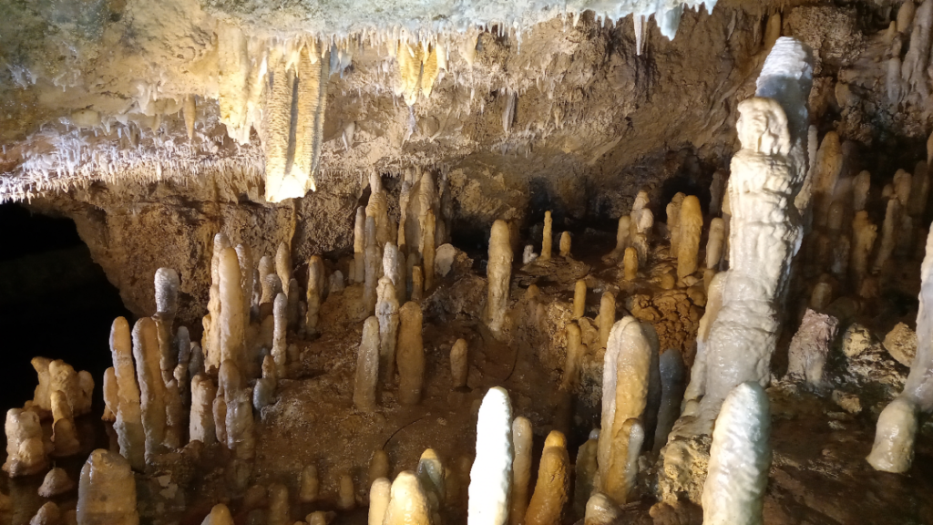 Stalactites and stalagmites inside Harrison's Cave, Barbados.