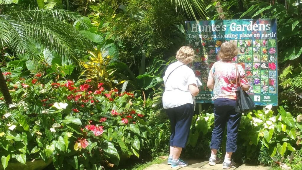 Tourists reading an information board at Hunte's Gardens surrounded by lush tropical plants and vibrant flowers in Barbados
