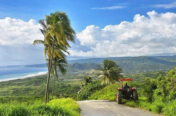 Farmer driving a tractor on a rural road in Barbados with ocean view