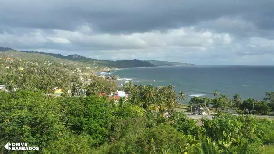 Scenic view of Bathsheba, Barbados coastline with lush greenery, palm trees, and a cloudy sky overlooking the Atlantic Ocean