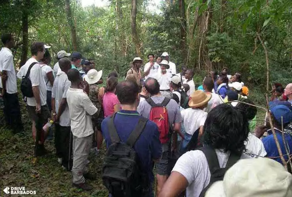 Group of hikers listening to a BNT guide in Turners Hall Woods, St. Thomas, Barbados, surrounded by lush greenery