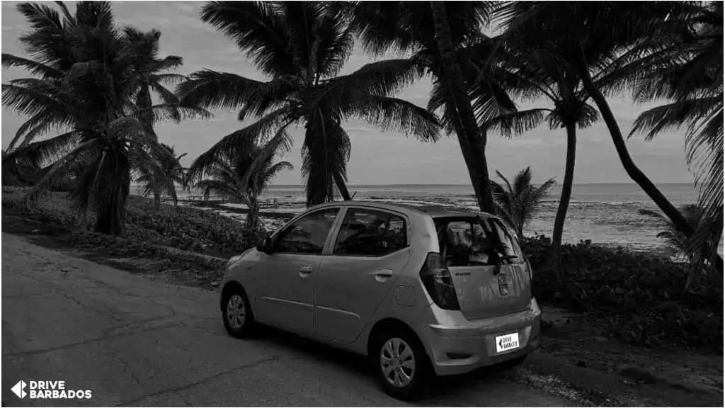 Should I rent a car in Barbados?- Economy car parked by the palm-lined East Coast of Barbados, with the Caribbean Sea in the background.