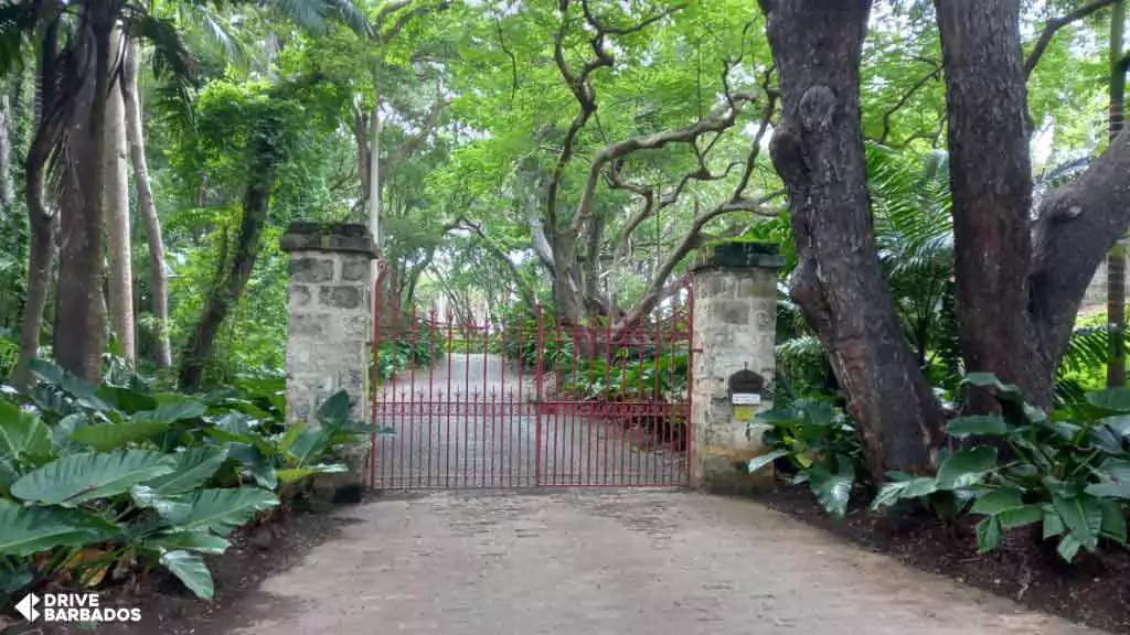 Red iron gates at the entrance of St. Nicholas Abbey Plantation, Cherry Tree Hill, St. Peter, Barbados, flanked by lush tropical foliage and stone pillars.