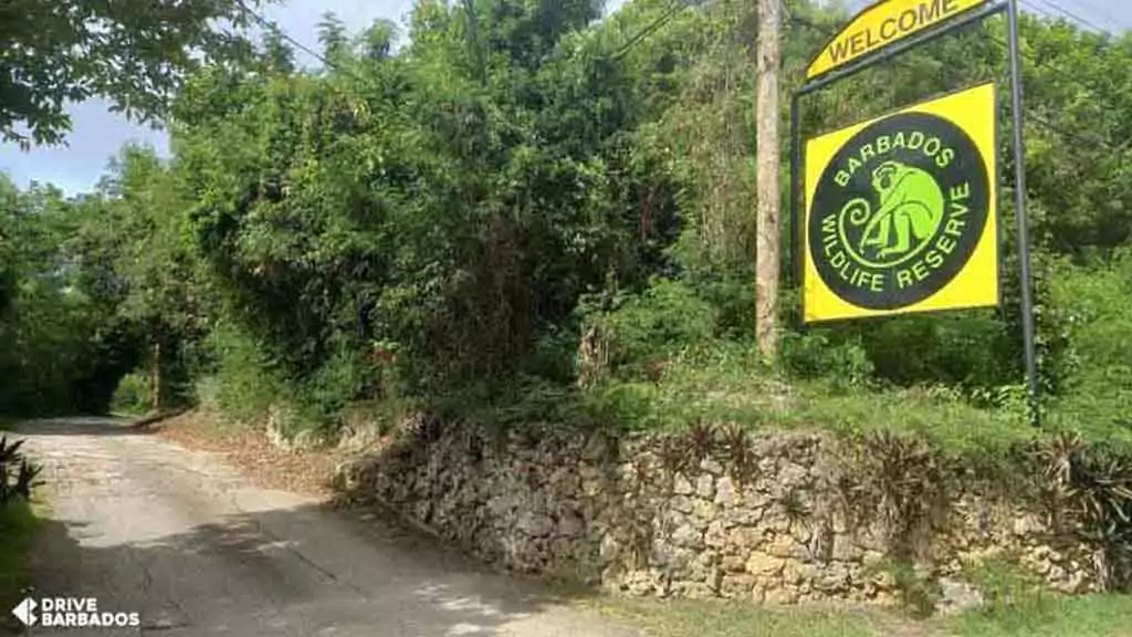 Welcome sign of the Barbados Wildlife Reserve amidst lush greenery on a sunny day