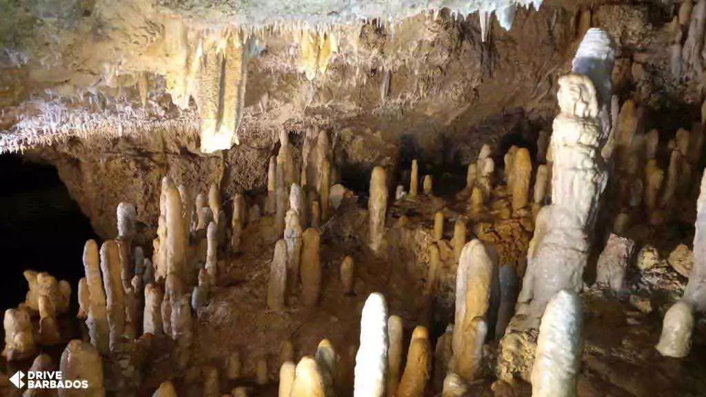 Stalactites and stalagmites inside Harrison's Cave, Barbados.