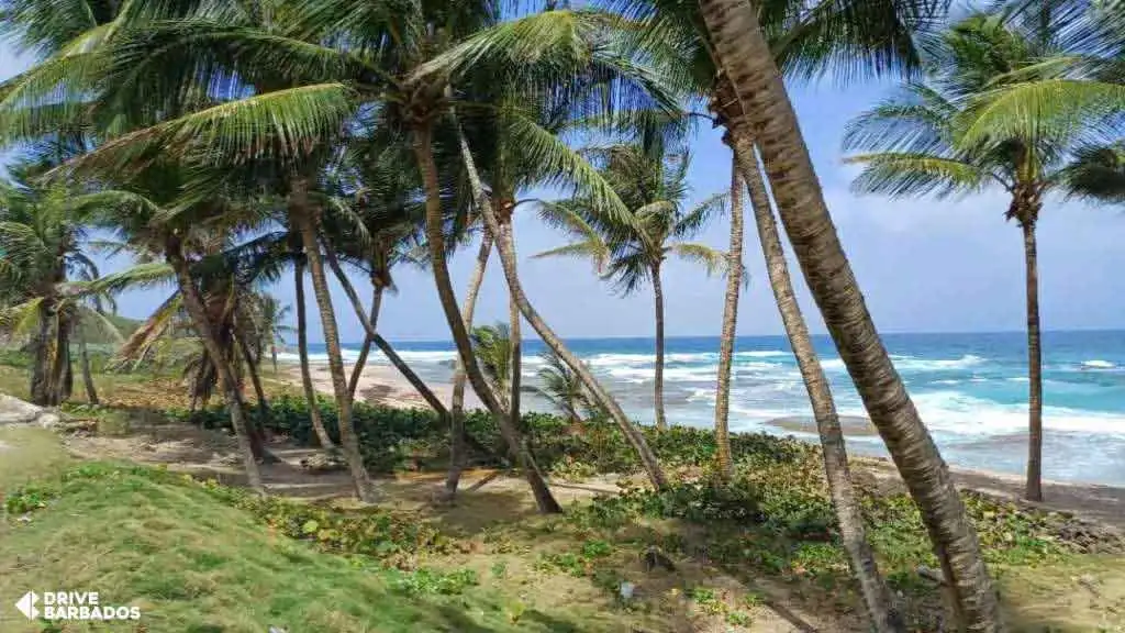 Cattlewash Beach, East Coast, Barbados