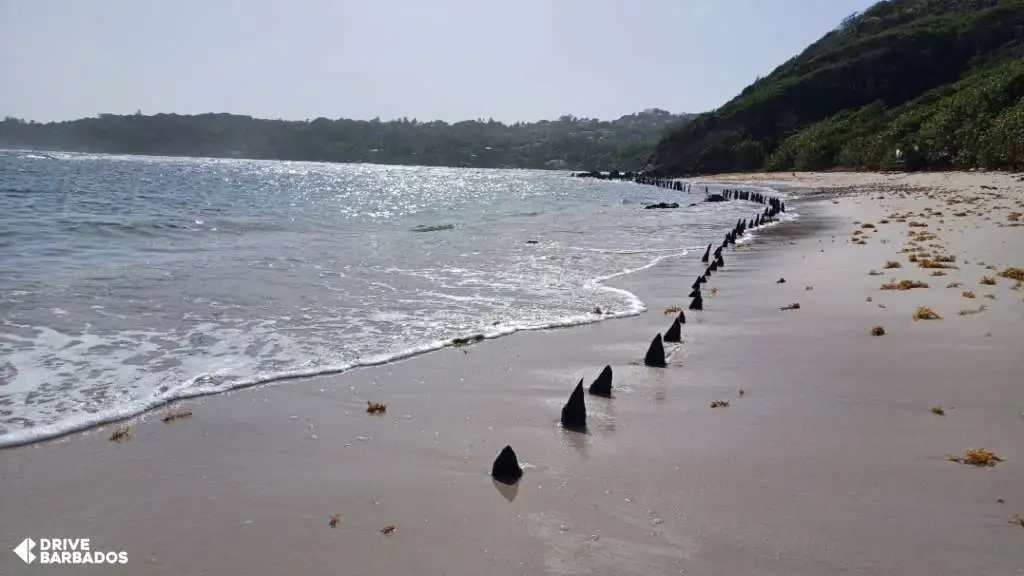 Bath beach along the train line trail