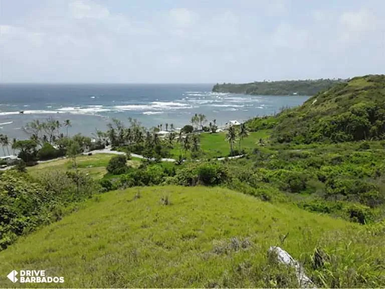 Bath beach Scenic view of the Caribbean Sea from a lush Barbadian hilltop