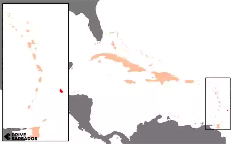 Weather Of Barbados