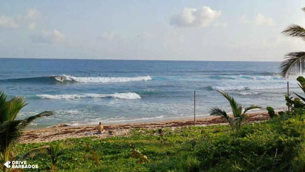 surfing at “soup bowl”, Bathsheba, Barbados