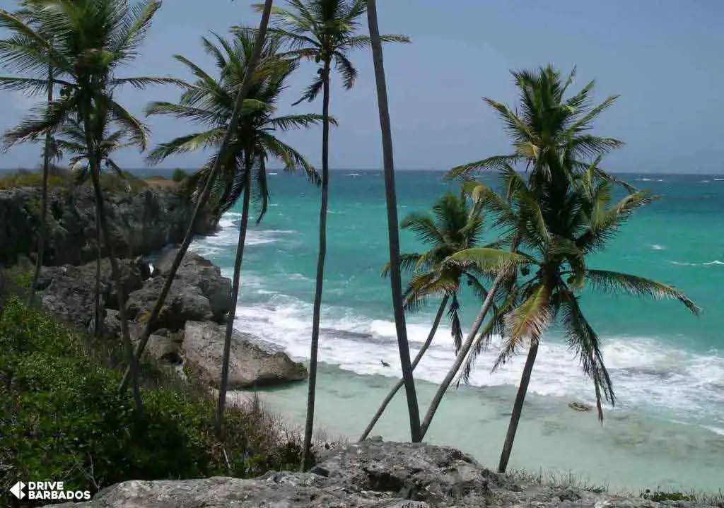 Tranquility of Bottom Bay, St. Philip, Barbados 