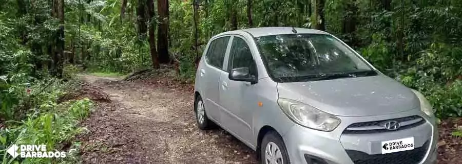 Hyundai i10 parked at Barbados Coco Hill Forest