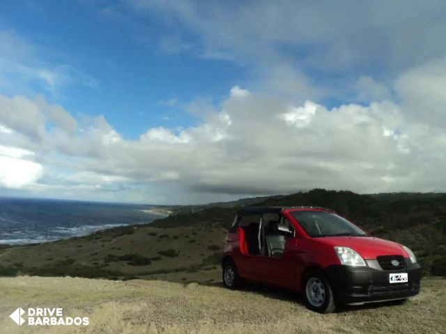 Mini Moke on Barbados coastline for open-air tropical driving experience