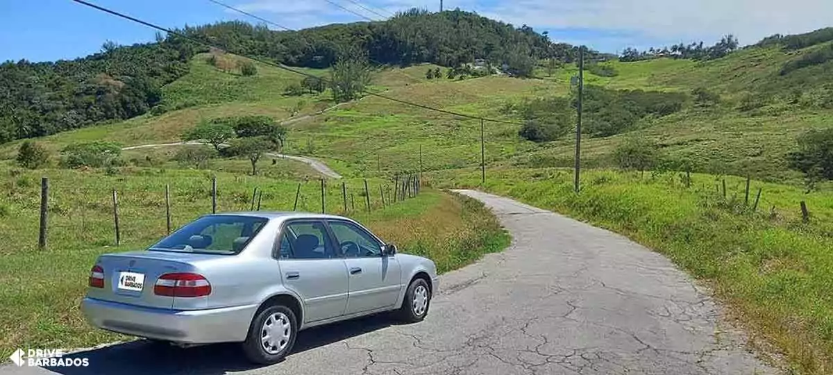 Compact sedan on Barbados rural roads for a comfortable driving experience.