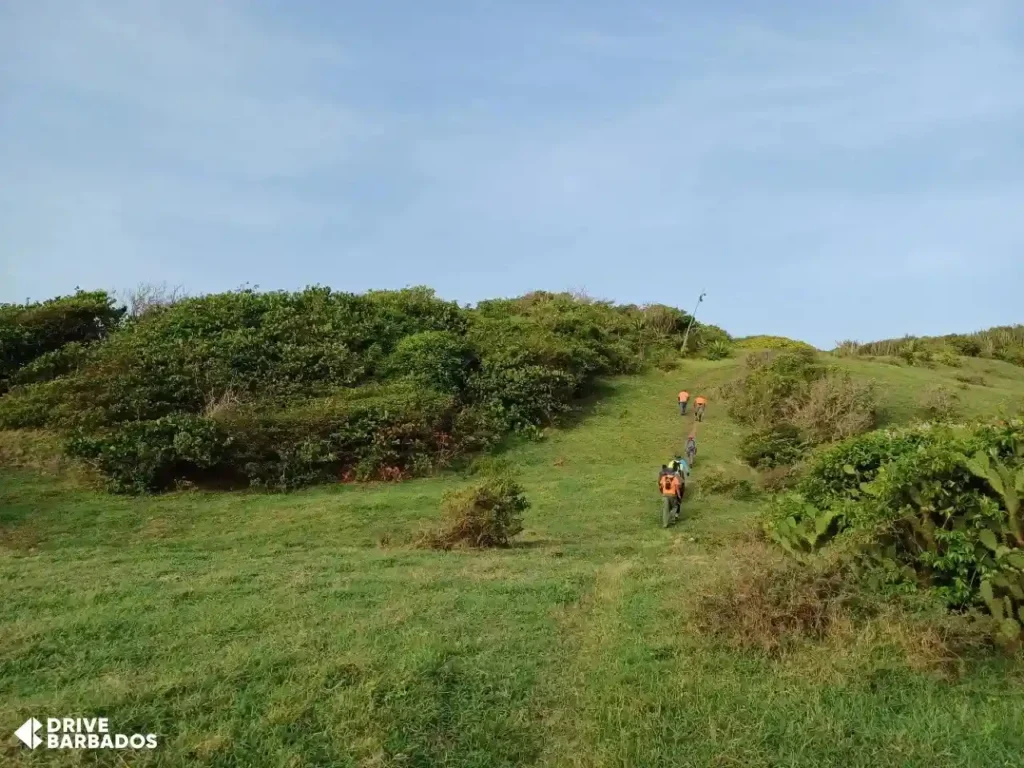 Hikers walking along a scenic trail at Chalky Mount, St. Andrew, Barbados, surrounded by lush greenery and clear skies.