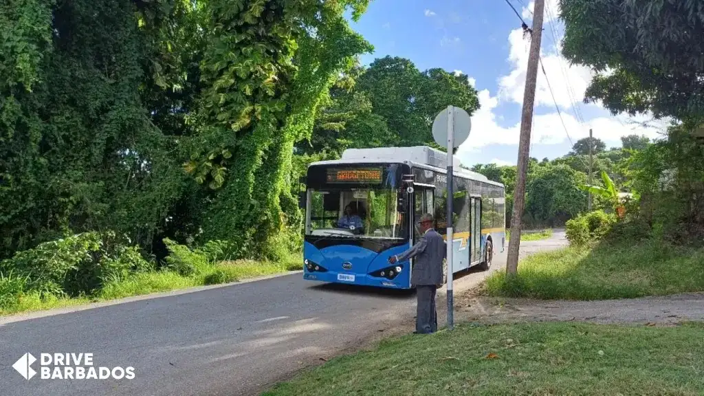 Man signaling to a blue Transport Board bus on a lush, green road in Barbados.