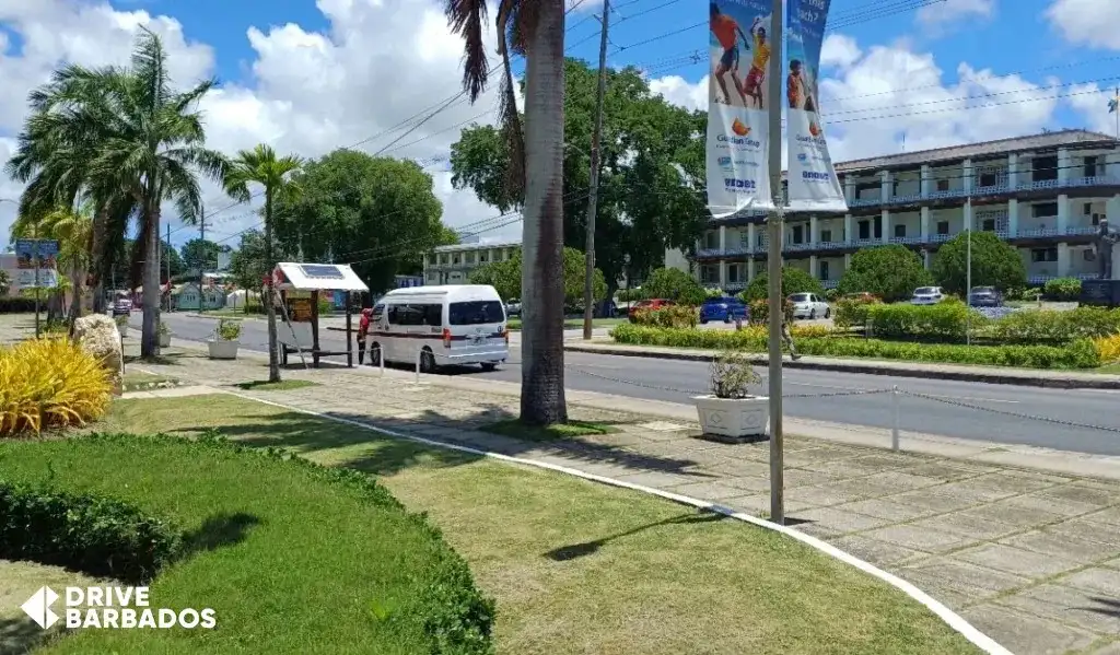 White ZR mini van with burgundy stripe driving through a sunny street in Barbados, near a bus stop with palm trees and tropical foliage.