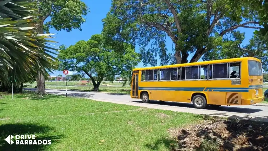 Yellow mini bus with blue stripe traveling through a scenic route in Barbados.