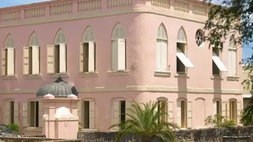 Interesting photos of Grazettes