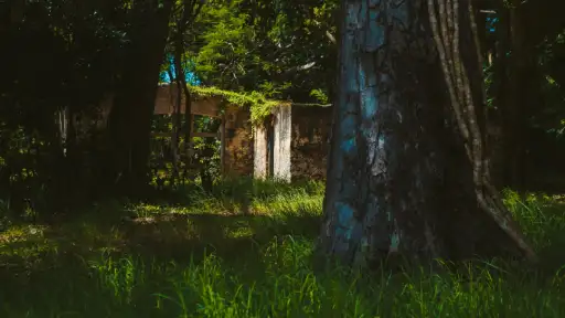 Wildey, Bridgetown, Saint Michael-3 Wildey, Bridgetown, Saint Michael-3