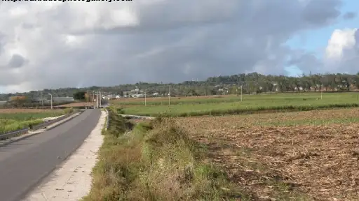 dash-valley-barbados dash-valley-barbados