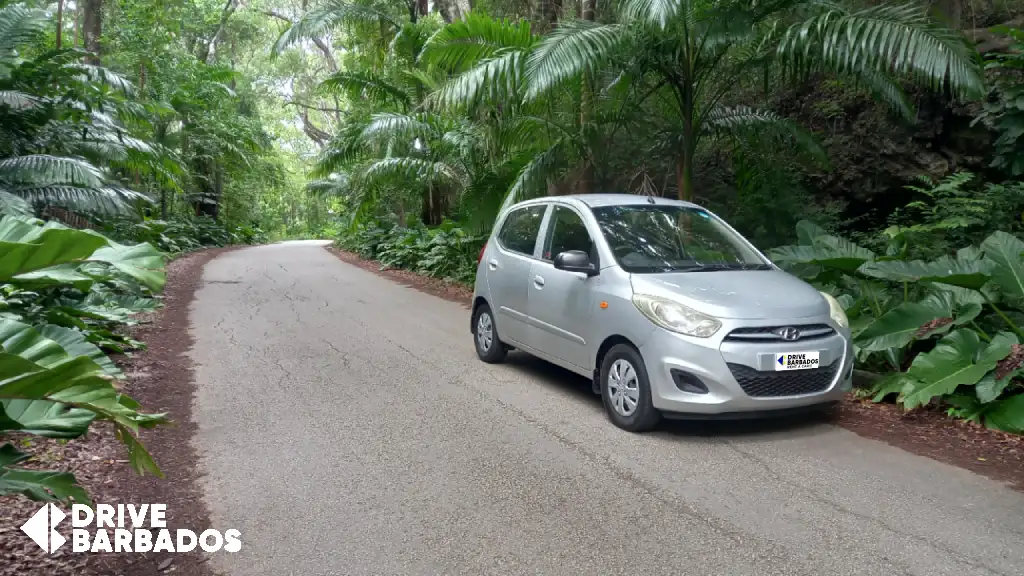 hyundai-I10-along-cherry-tree-hill hyundai-I10-along-cherry-tree-hill