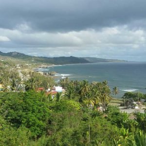 seascape Bathsheba Barbados
